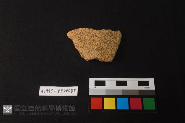 陶片藏品圖，第1張