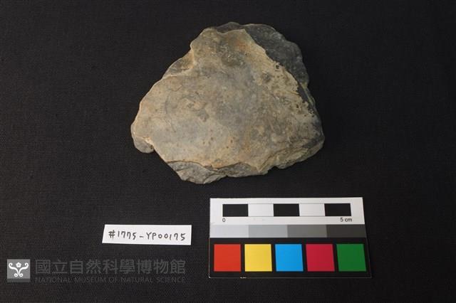 陶片藏品圖，第1張