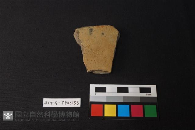 陶片藏品圖，第1張