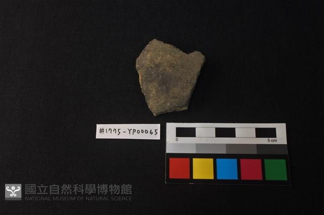 陶片藏品圖，第1張