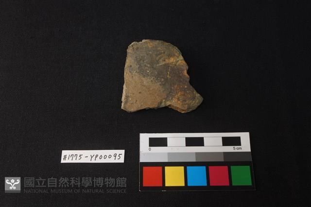 陶片藏品圖，第1張