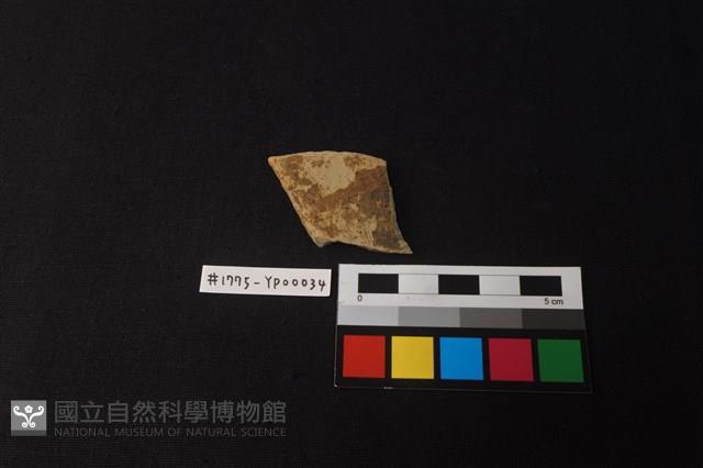 陶片藏品圖，第1張