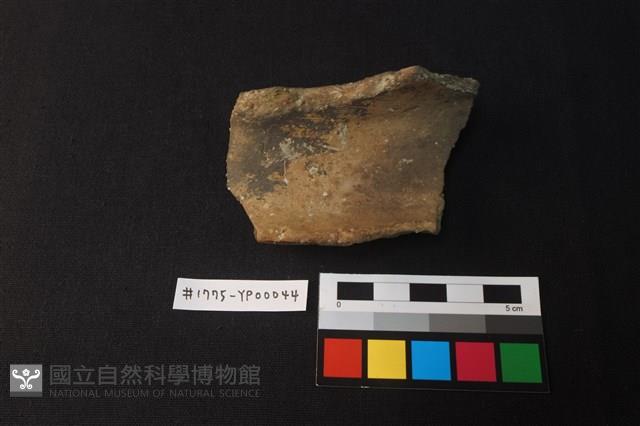 陶片藏品圖，第1張