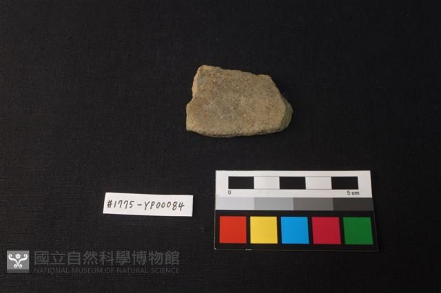 陶片藏品圖，第1張