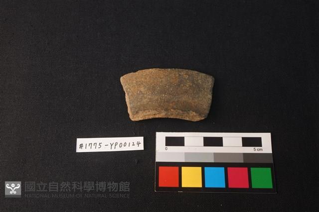 陶片藏品圖，第1張