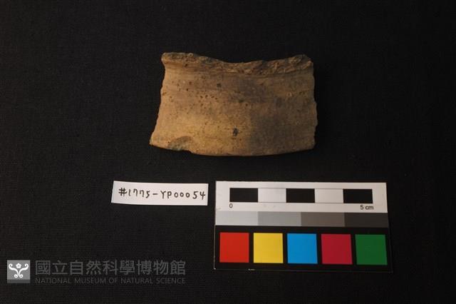 陶片藏品圖，第1張