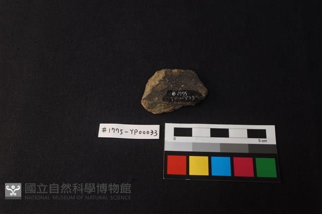 陶片藏品圖，第1張