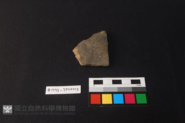 陶片藏品圖，第1張