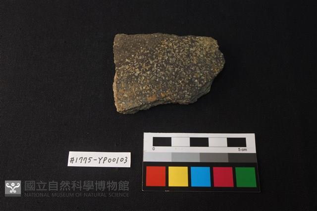 陶片藏品圖，第1張