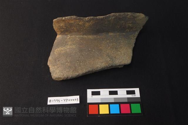 陶片藏品圖，第1張