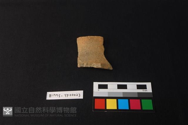 陶片藏品圖，第1張