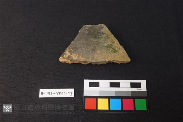 陶片藏品圖，第1張