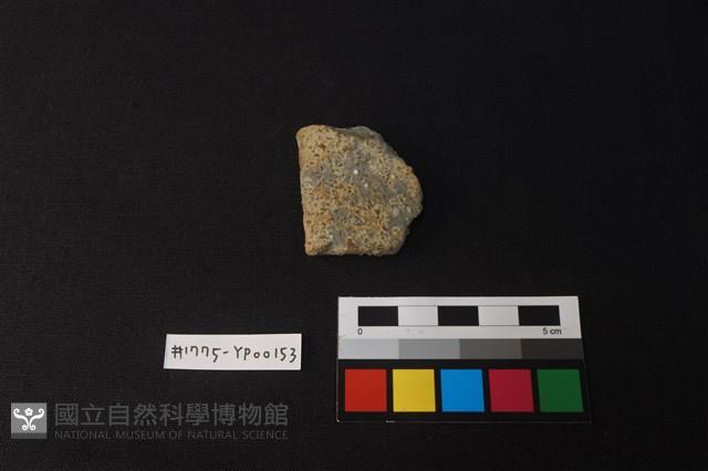 陶片藏品圖，第1張