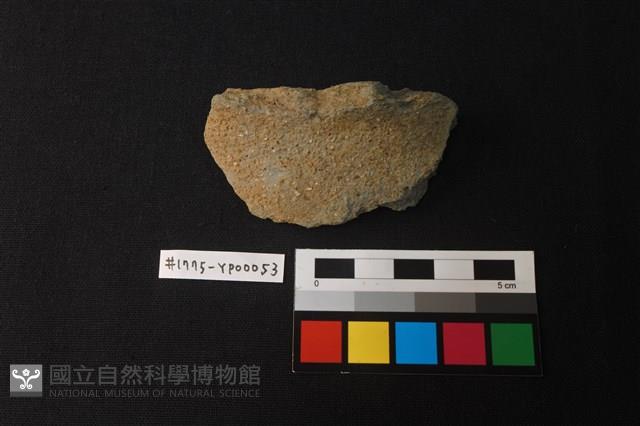 陶片藏品圖，第1張