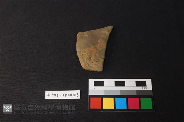 陶片藏品圖，第1張