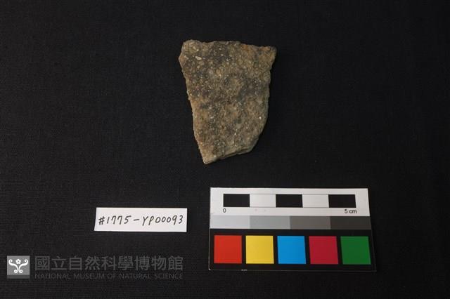陶片藏品圖，第1張