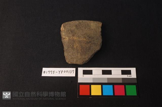 陶片藏品圖，第1張