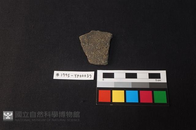 陶片藏品圖，第1張