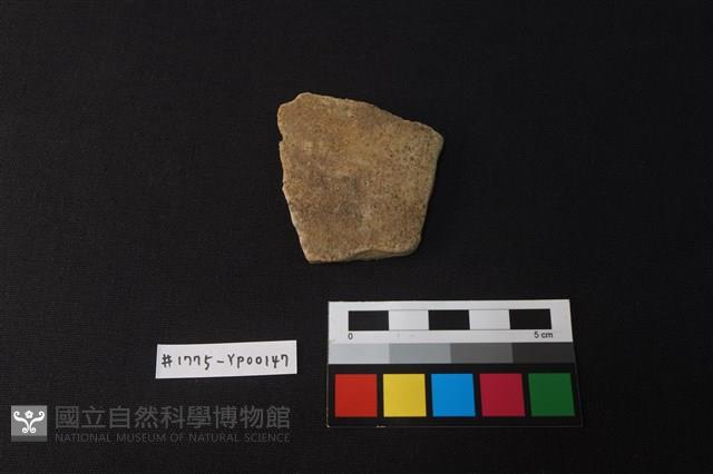 陶片藏品圖，第1張