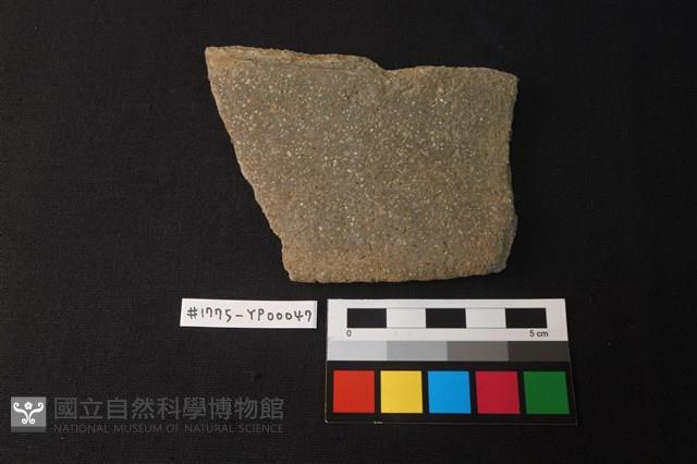 陶片藏品圖，第1張
