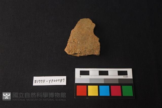 陶片藏品圖，第1張