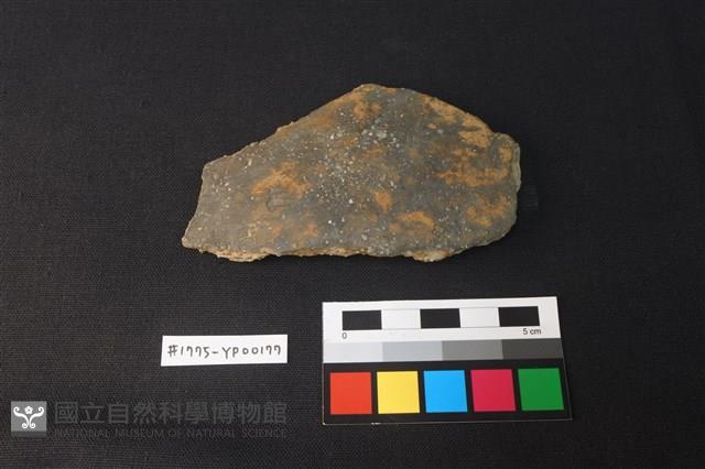 陶片藏品圖，第1張
