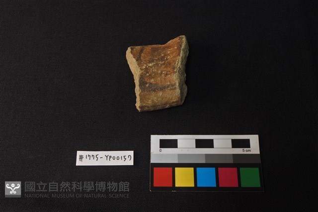 陶片藏品圖，第1張