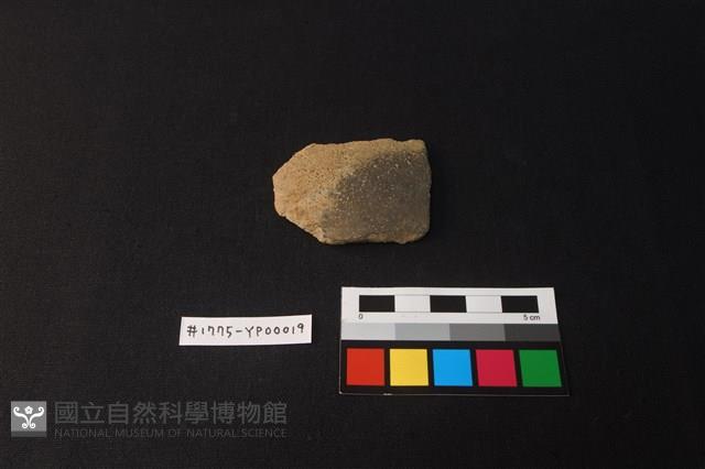陶片藏品圖，第1張