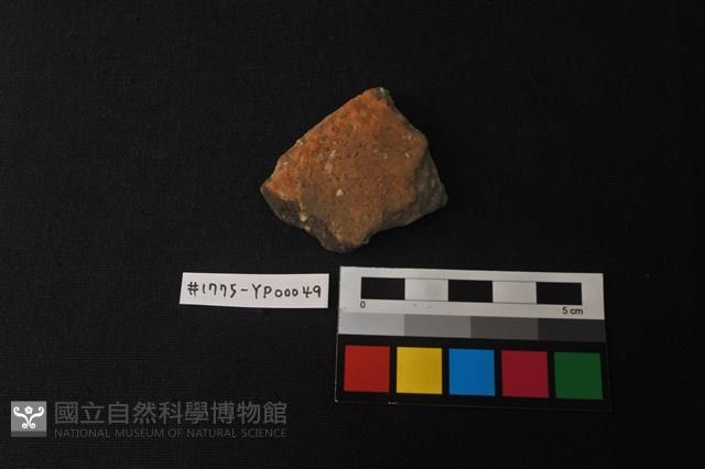 陶片藏品圖，第1張