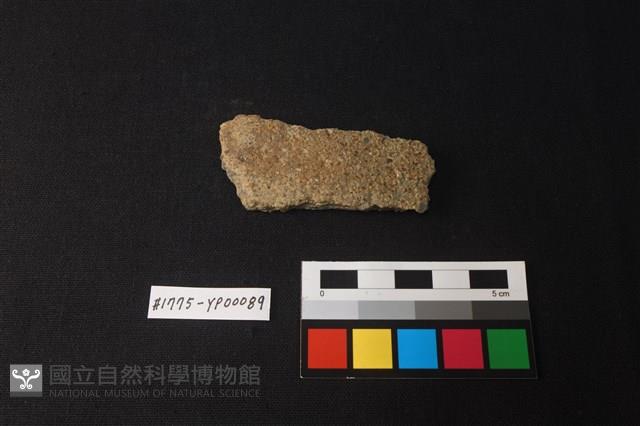 陶片藏品圖，第1張
