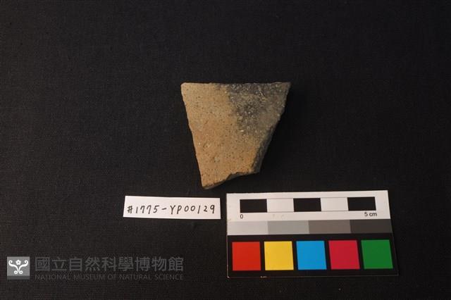 陶片藏品圖，第1張