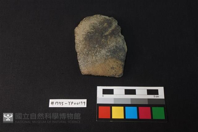 陶片藏品圖，第1張