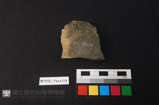 陶片藏品圖，第1張