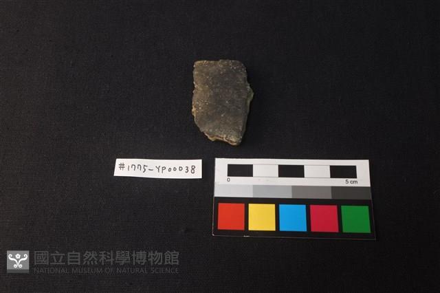 陶片藏品圖，第1張
