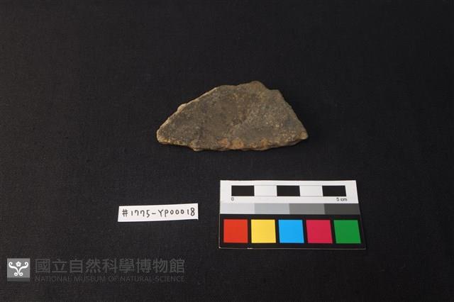 陶片藏品圖，第1張