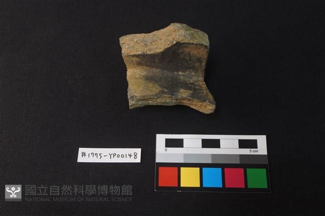 陶片藏品圖，第1張