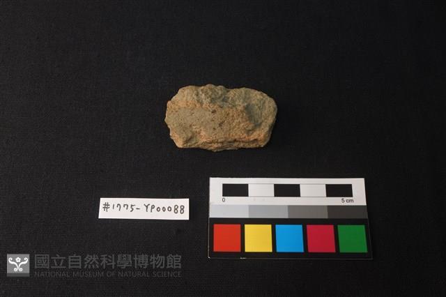 陶片藏品圖，第1張
