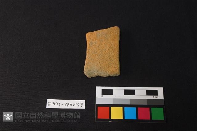 陶片藏品圖，第1張