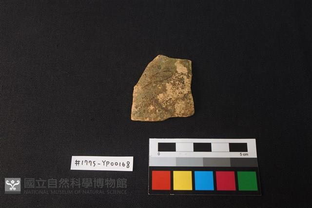 陶片藏品圖，第1張