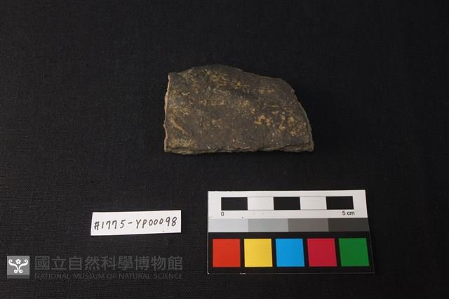 陶片藏品圖，第1張