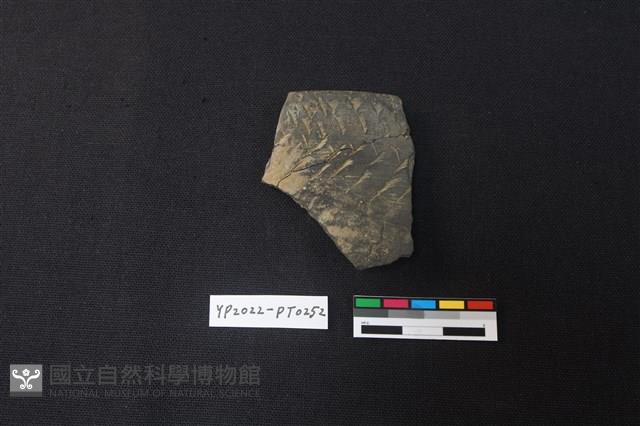 陶片藏品圖，第1張