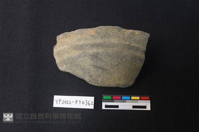 陶片藏品圖，第1張