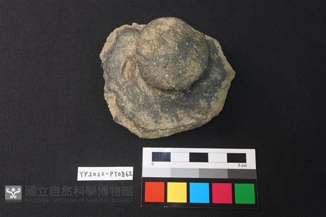 蓋鈕藏品圖，第1張