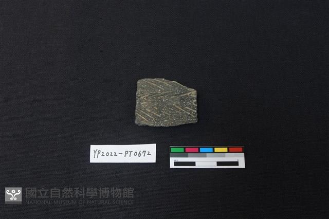 陶片藏品圖，第1張