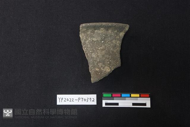 陶片藏品圖，第1張