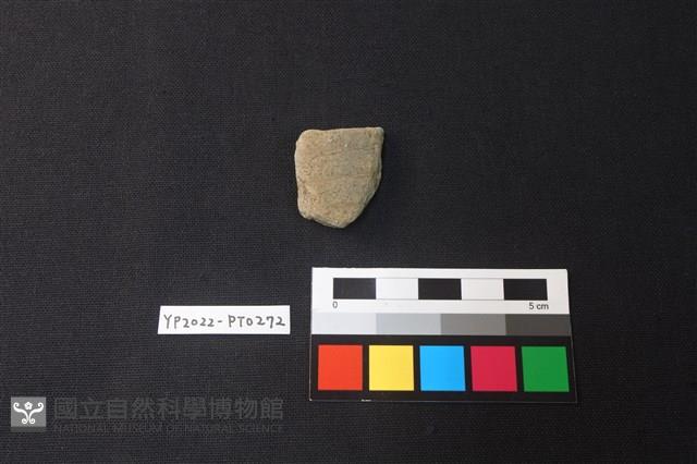 陶片藏品圖，第1張