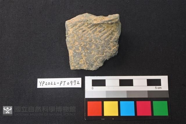陶片藏品圖，第1張