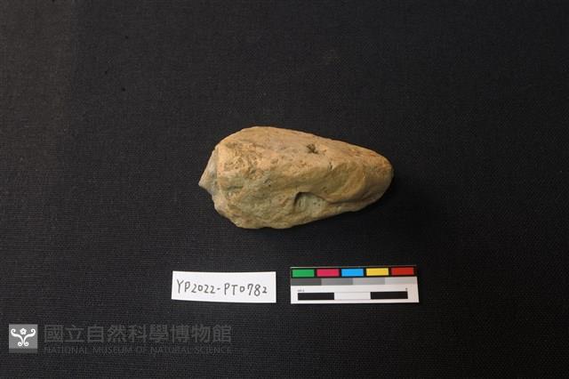 陶片藏品圖，第1張