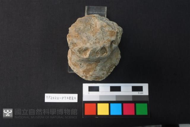 陶鈕藏品圖，第1張