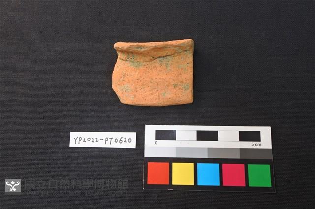 陶片藏品圖，第1張